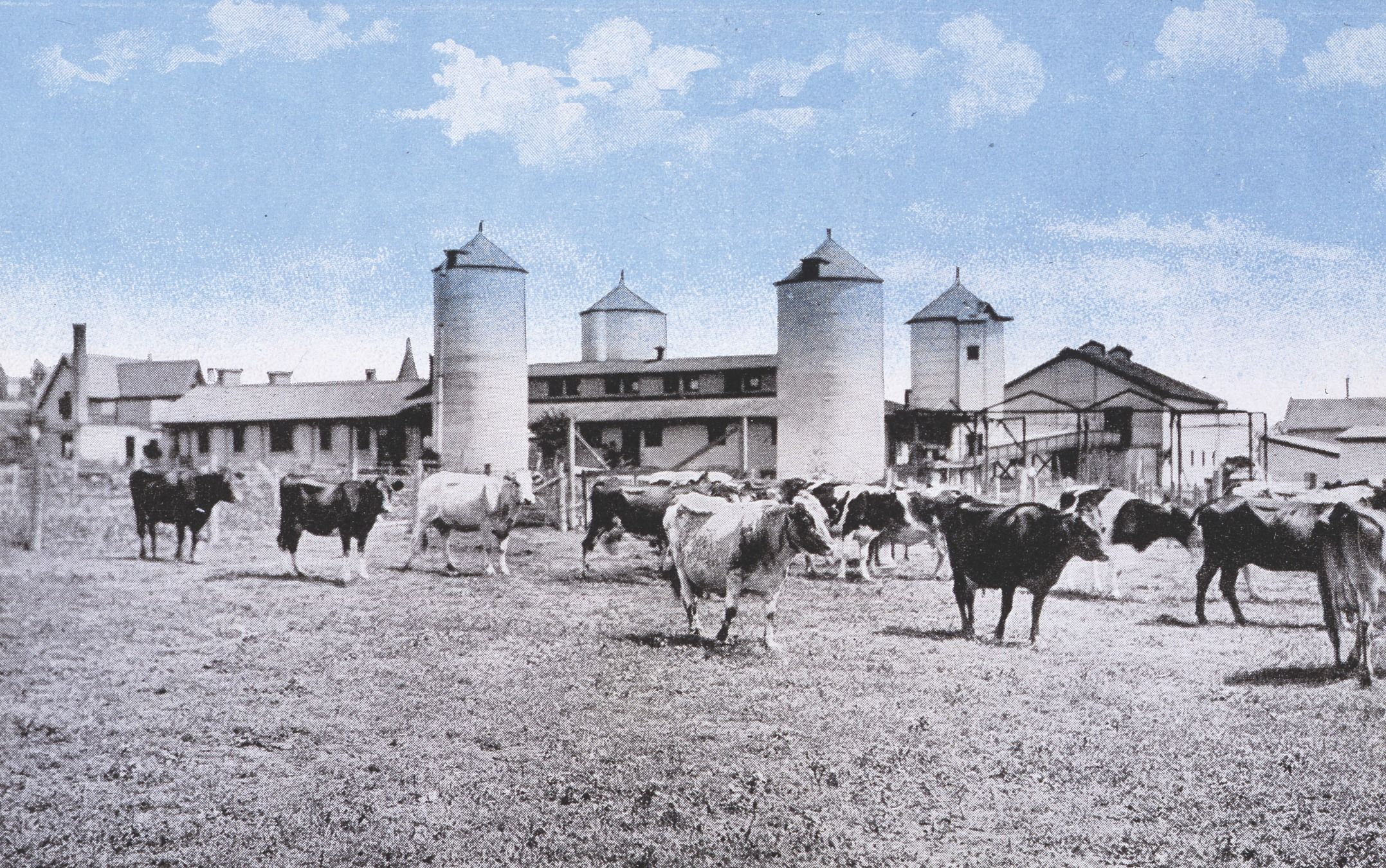 Arcady Farm, designed for the Meekers in 1906 by architect Arthur Heun, was located on the northwest corner of Waukegan Road and Rte. 60 and included an extensive dairy that sold the first certified milk in the state. Image source: Bess Bower Dunn Museum.