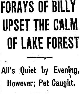 Chicago Tribune, September 28, 1928.