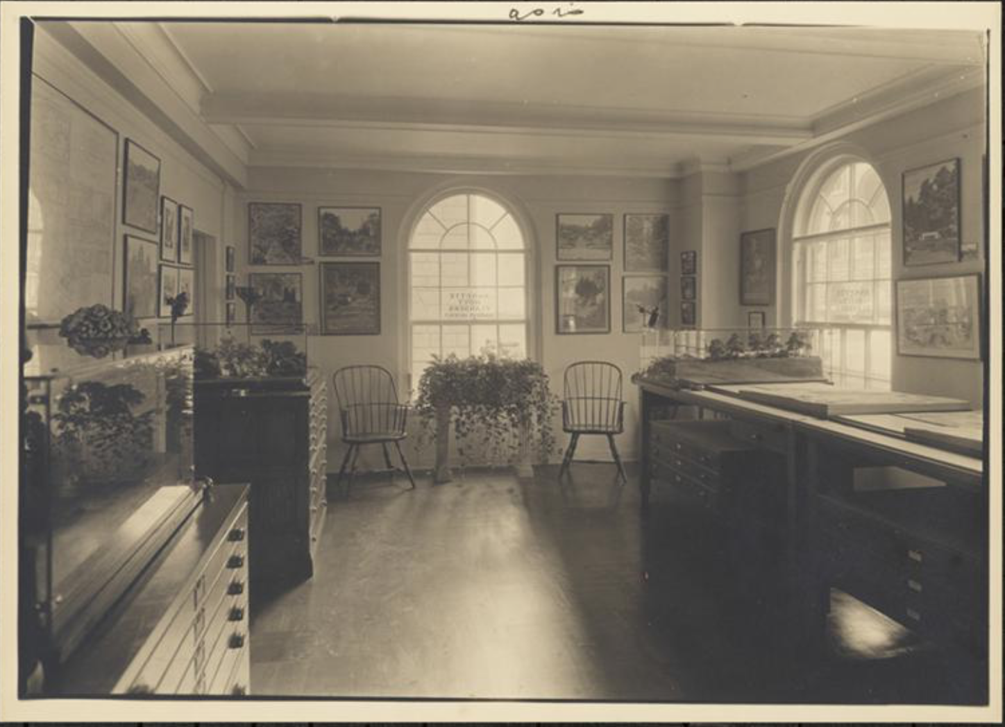 Annette Flanders office in NYC. Image source: Museum of New York City, photo courtesy of Samuel H. Gottscho